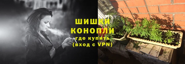 прущие грибы Верея