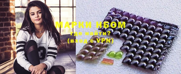 шишки Ельня