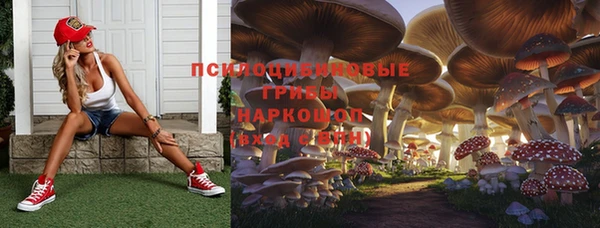 дмт Нефтекумск