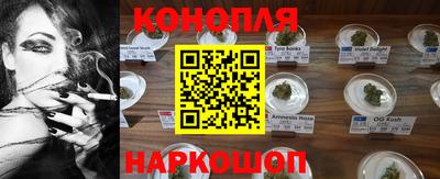 индика Абинск