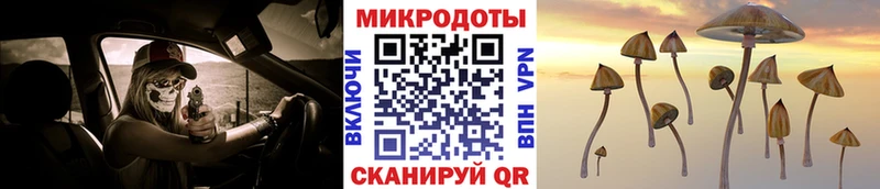 Галлюциногенные грибы GOLDEN TEACHER  закладка  Азнакаево 