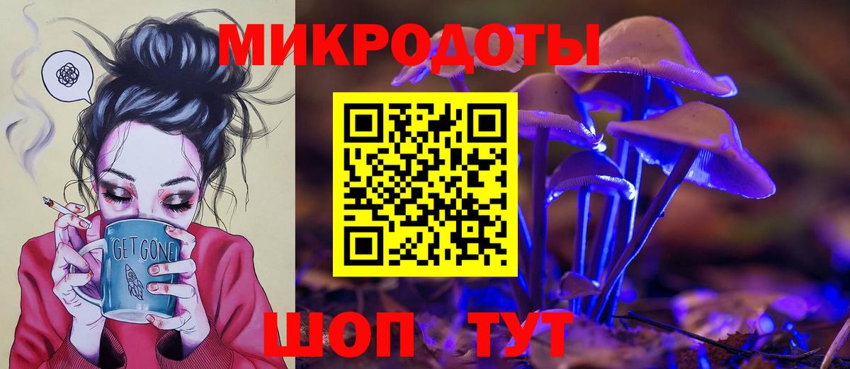 Псилоцибиновые грибы Psilocybe Азнакаево