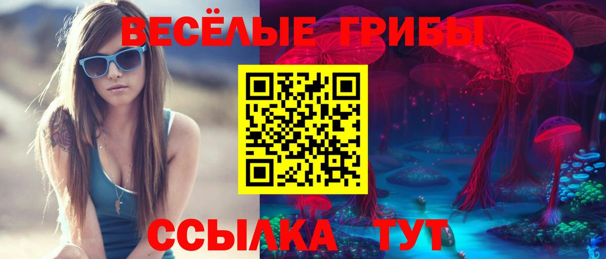 Псилоцибиновые грибы Cubensis Азнакаево